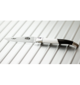 Couteau Airbus en Fibre de Carbone et acrylique, forge de Laguiole